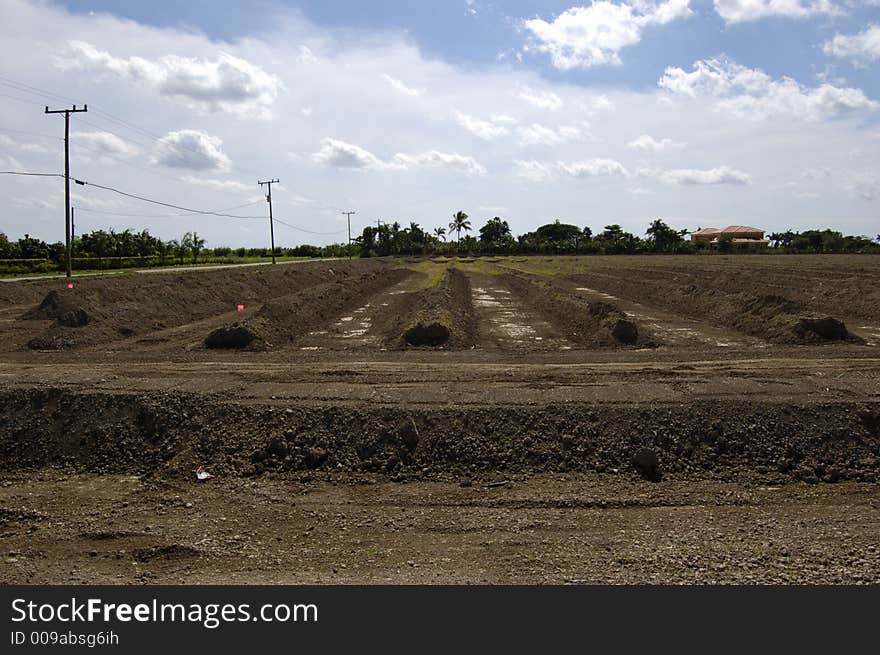 Berms in a Tree Farm in the Redlands, Miami Florida