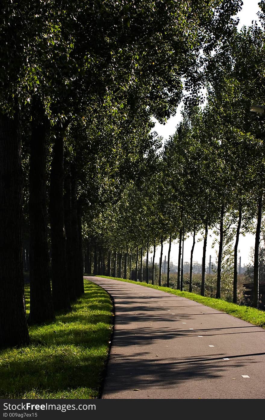 Road in Maarssen in the Netherlands