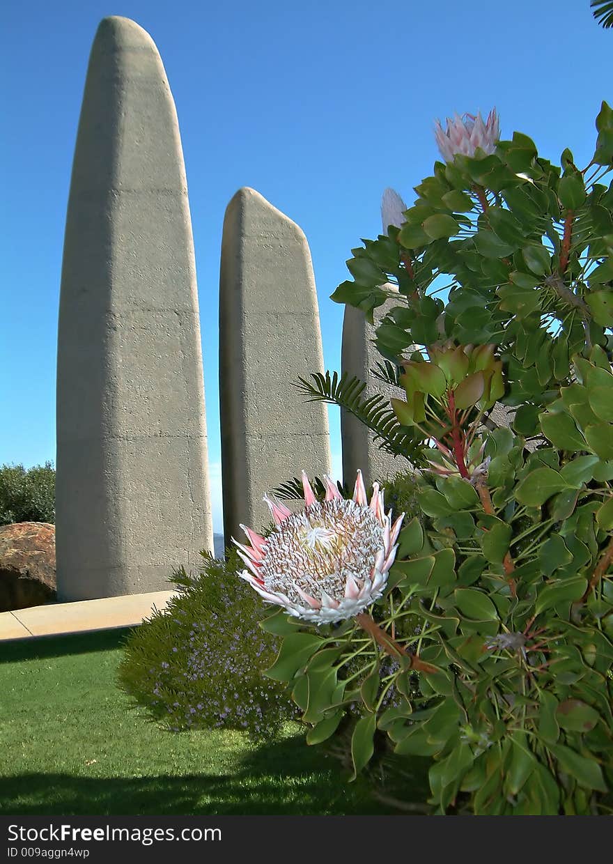 Protea and statues in South Africa