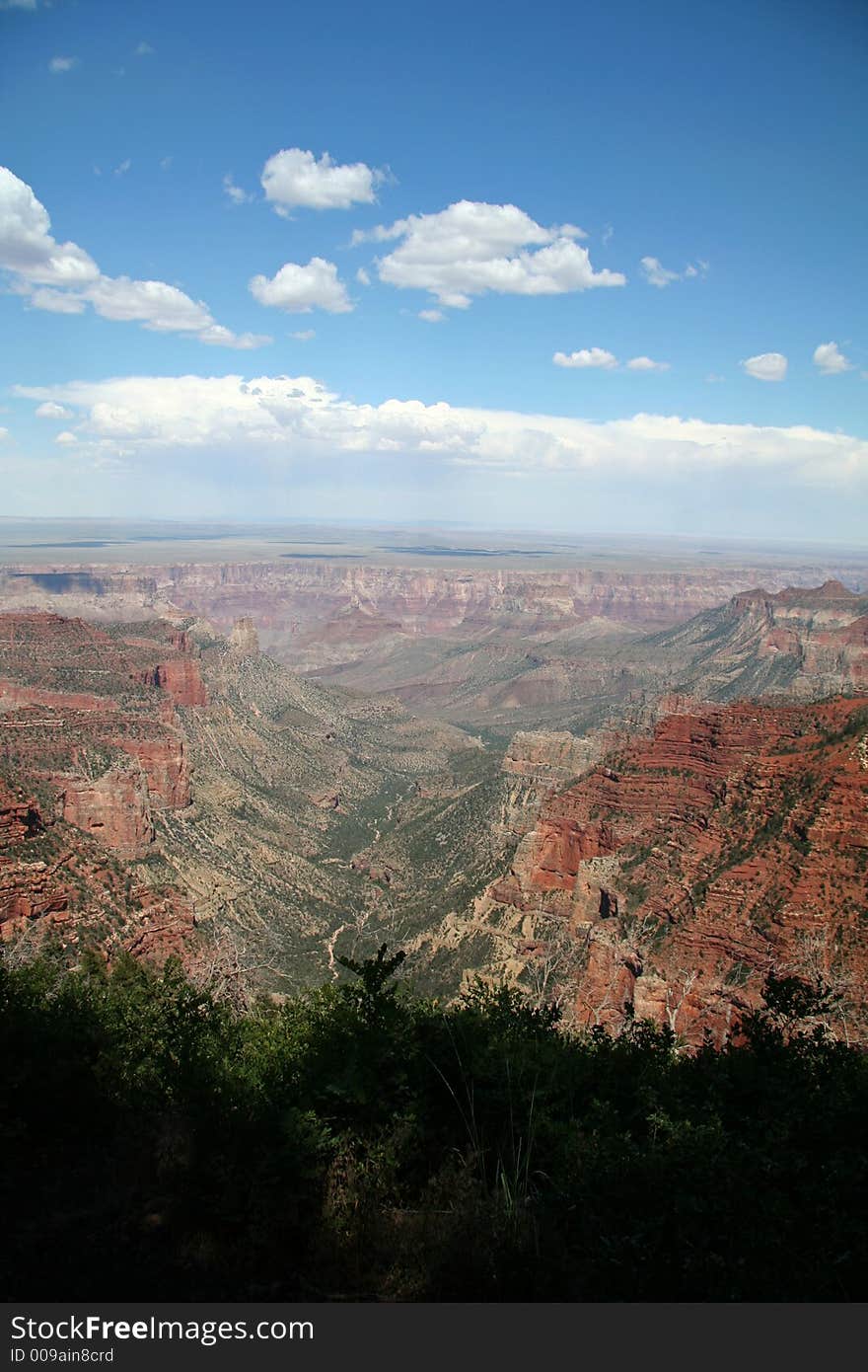 Grand Canyon Overlook with Trees