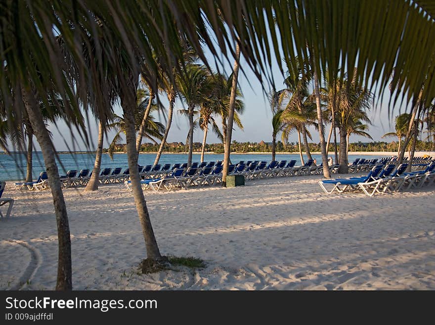 Mexico On The Beach Early Morning