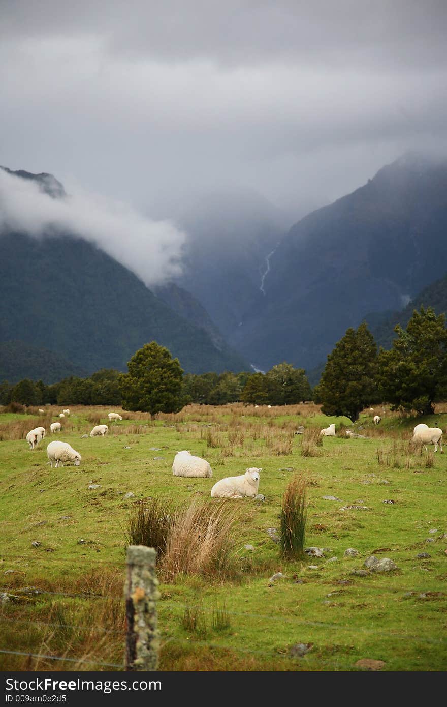 Sheeps farm with background of amazing Valley located in New Zealand, foggy and mysterious. Sheeps farm with background of amazing Valley located in New Zealand, foggy and mysterious