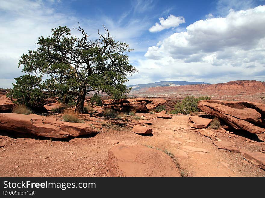 Capital Reef National Park