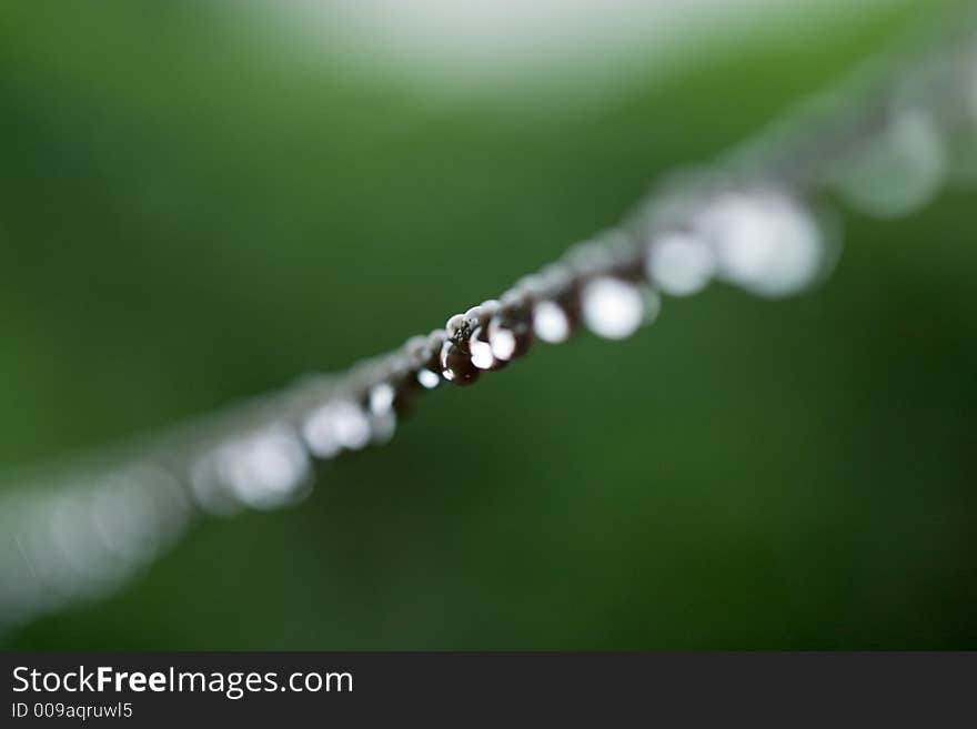 Dew drops on a clothes wire.