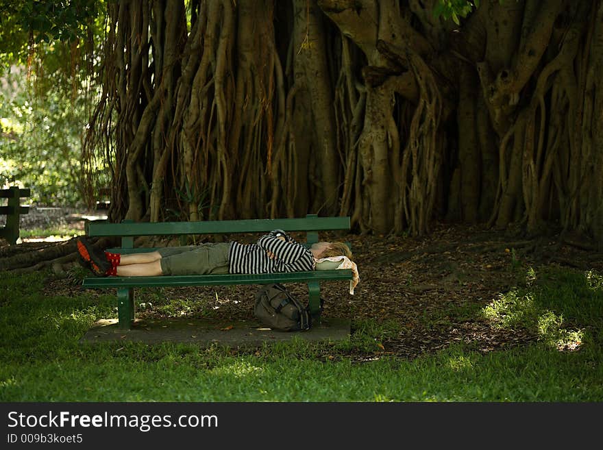 A man taking a peaceful nap under a huge tree at botanical garden, brisbane, australia