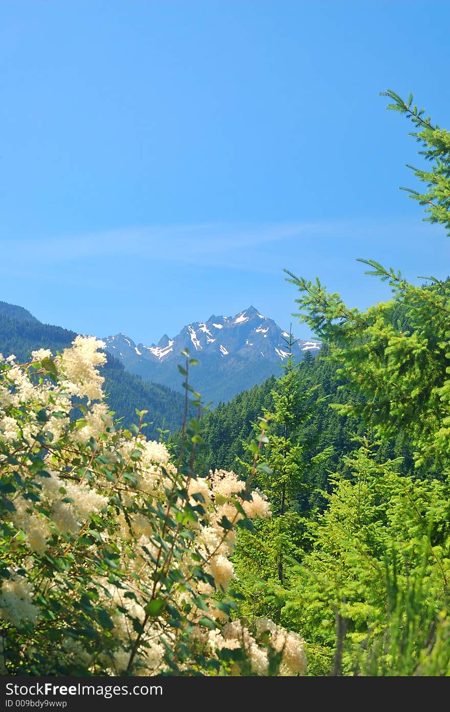 Mountain in Olympic National Park