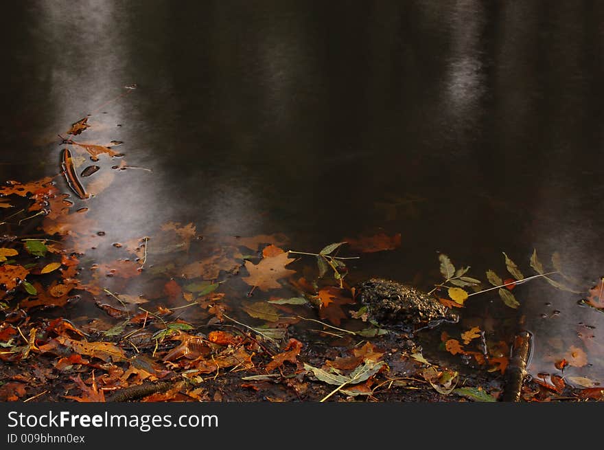 Colorfull leaves on a silky smooth water surface