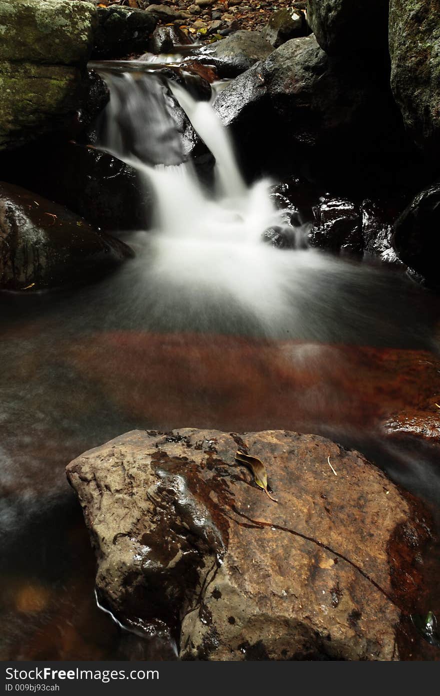 Beautiful stream in queensland, Australia. Beautiful stream in queensland, Australia