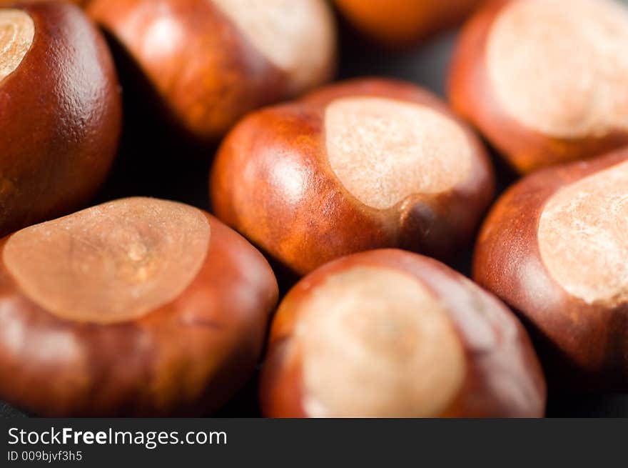 Conkers