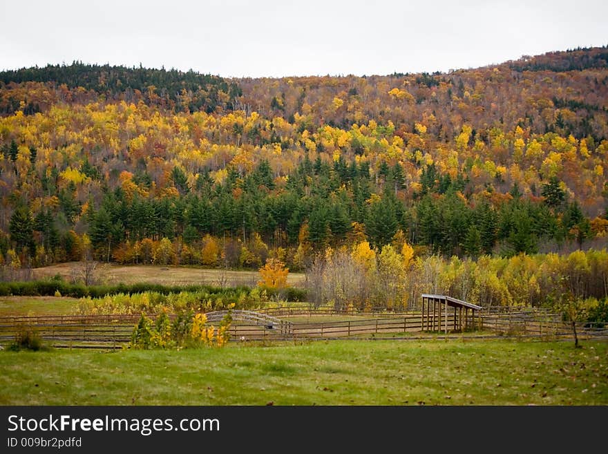 Small Farm in Fall Foliage