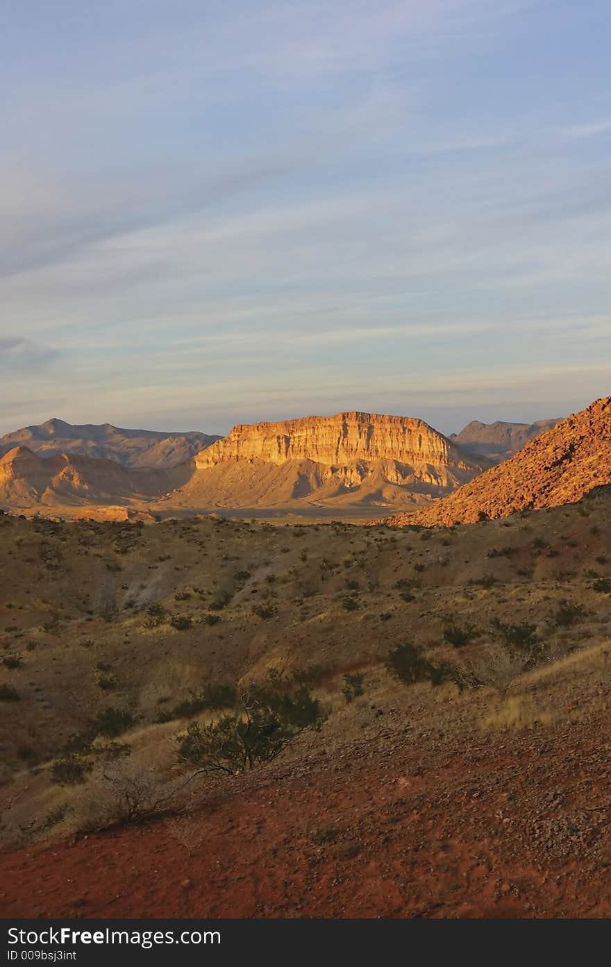 Desert landscape