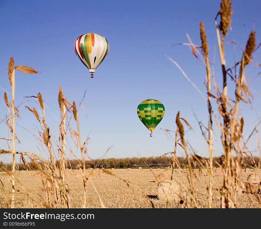 Balloon Race