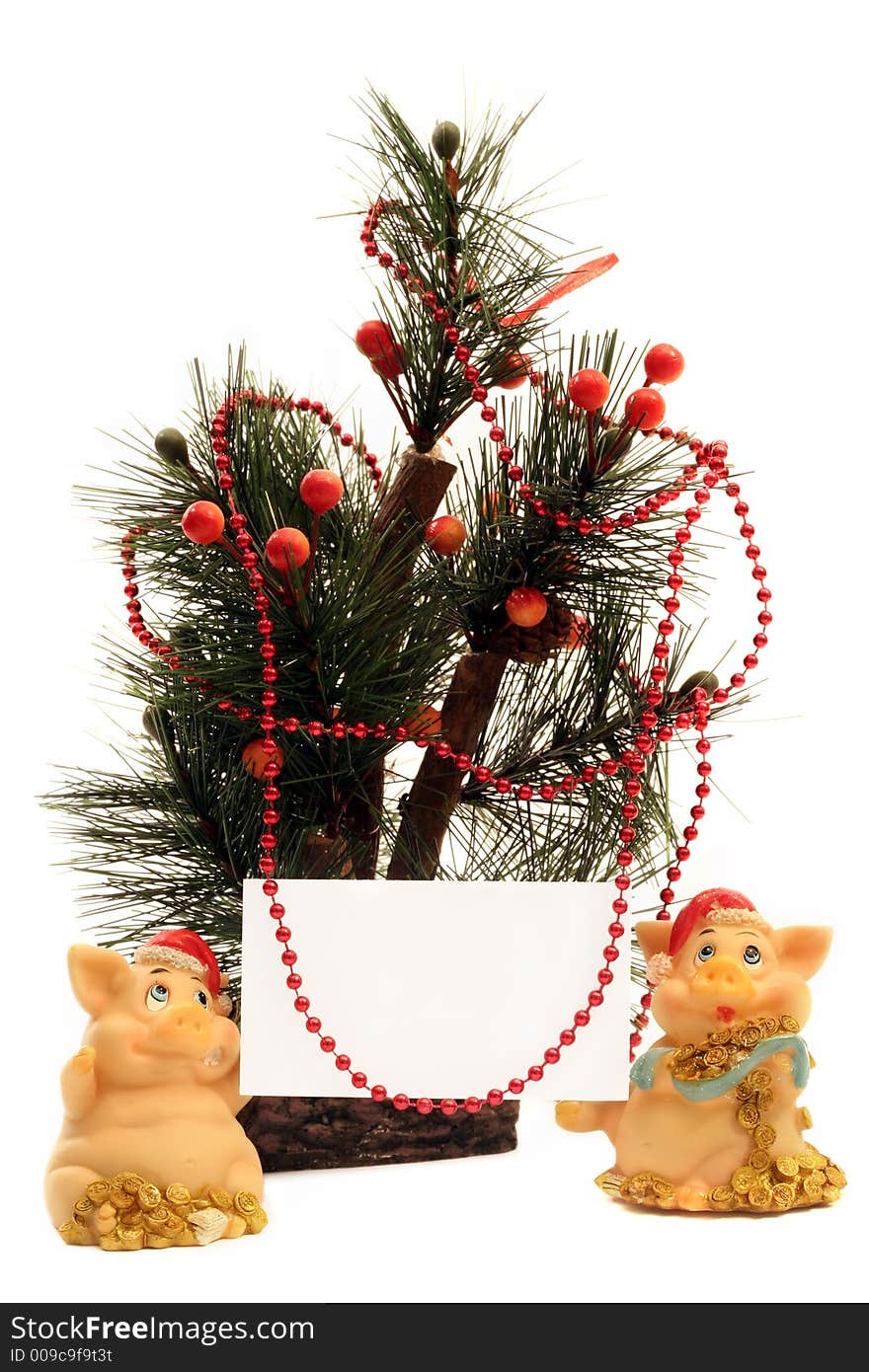 Fir Tree And Pigs With Card