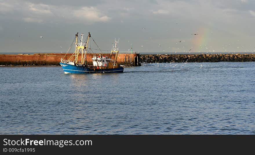 Rainbow Trawler