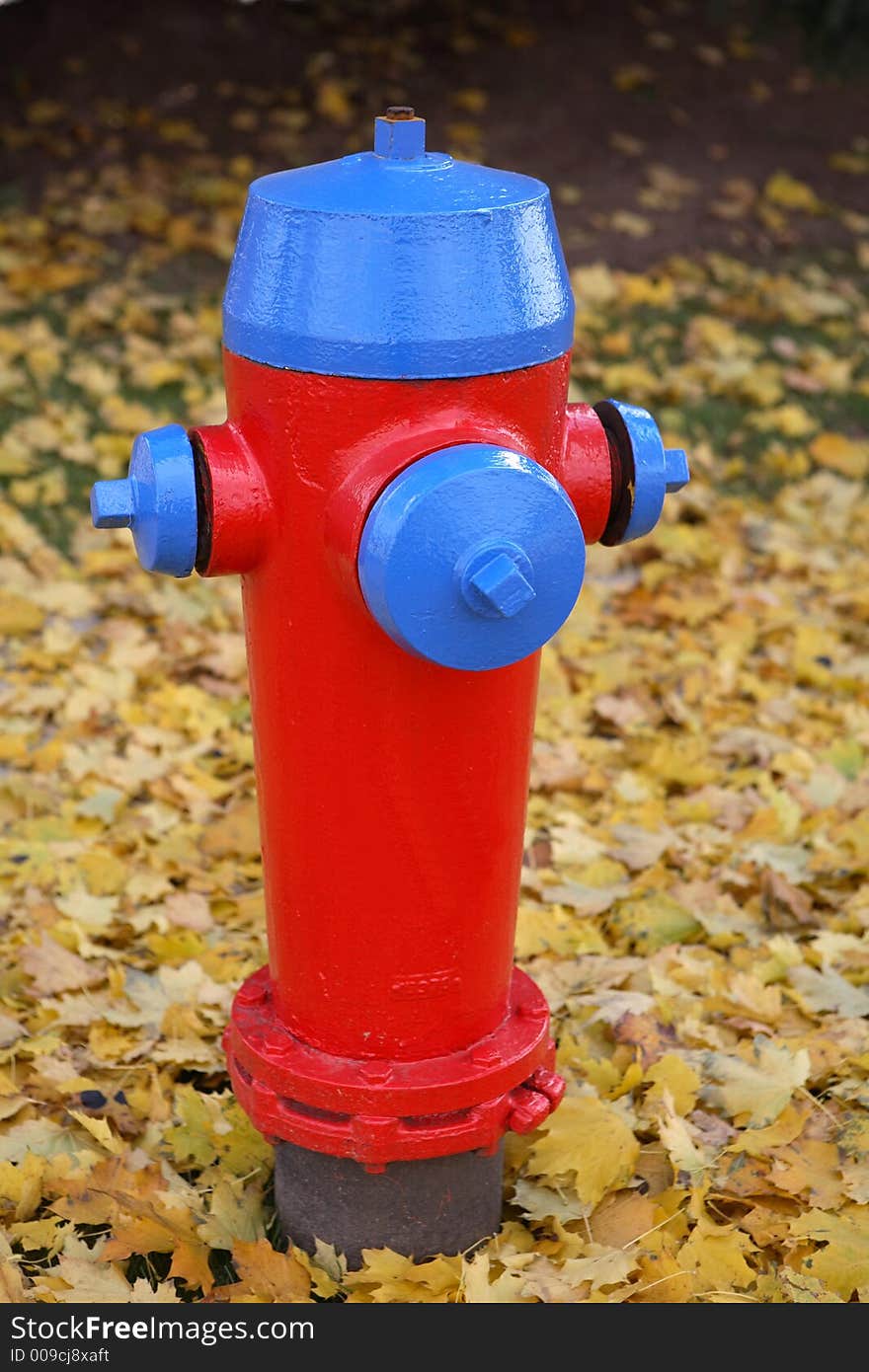 A brightly coloured fire hydrant against yellow autumn leaves. A brightly coloured fire hydrant against yellow autumn leaves.