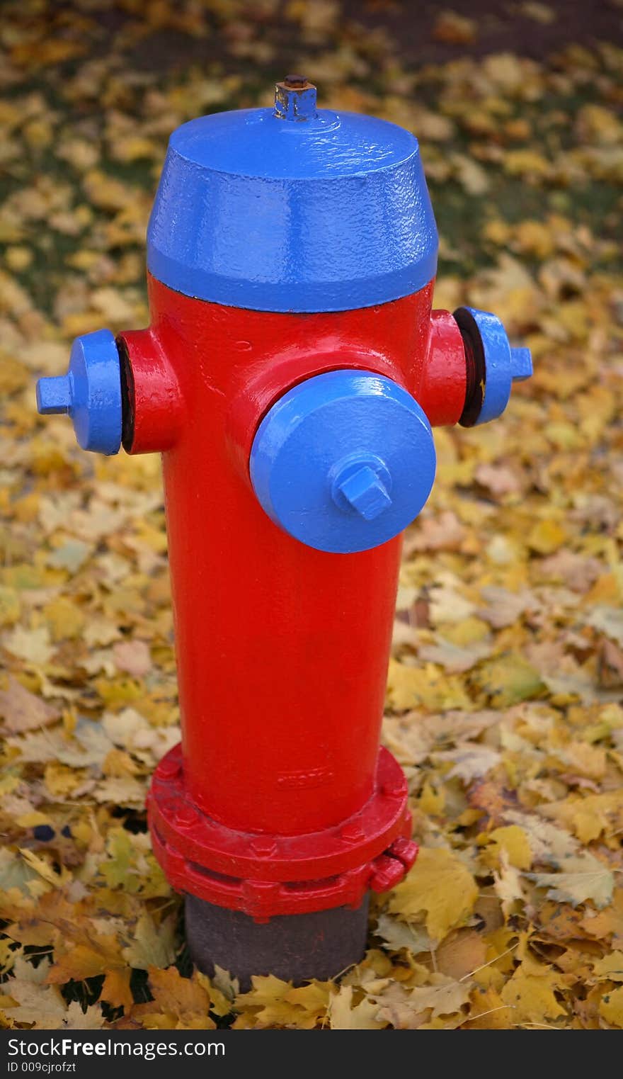 A brightly coloured fire hydrant against yellow autumn leaves. A brightly coloured fire hydrant against yellow autumn leaves.