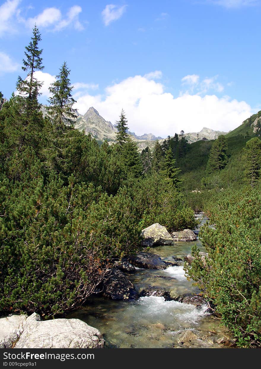 Stream in the big mountains. Stream in the big mountains