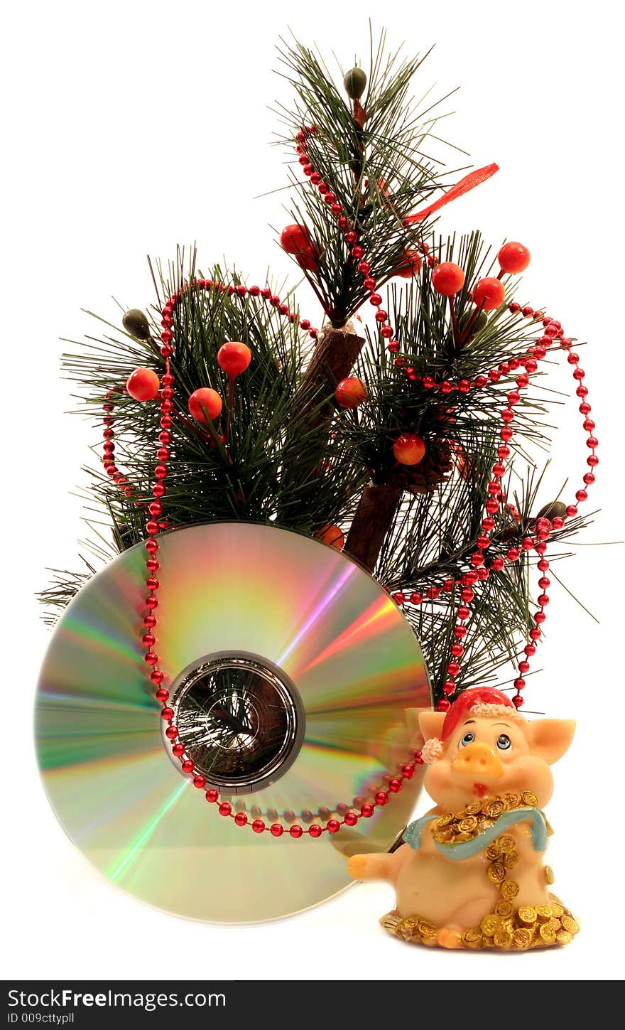 Pigs And Cd Under Fir Tree