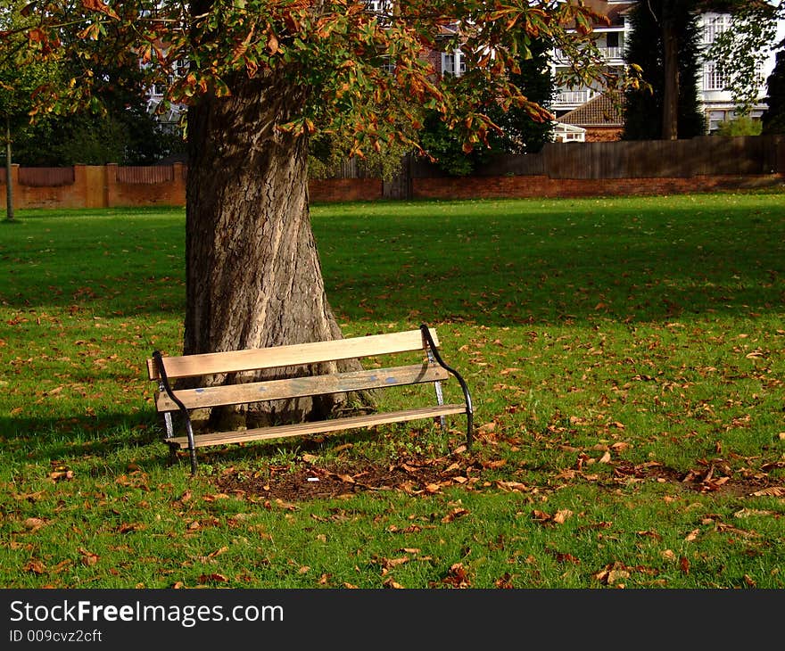 An empty bench in a local park. An empty bench in a local park