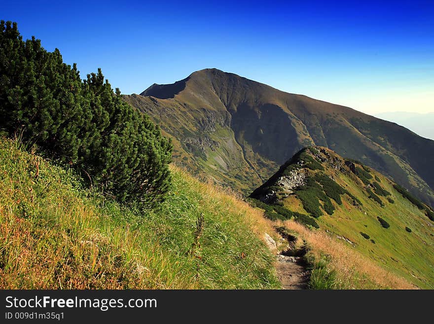 Lanscape  with green top and blue sky. Lanscape  with green top and blue sky