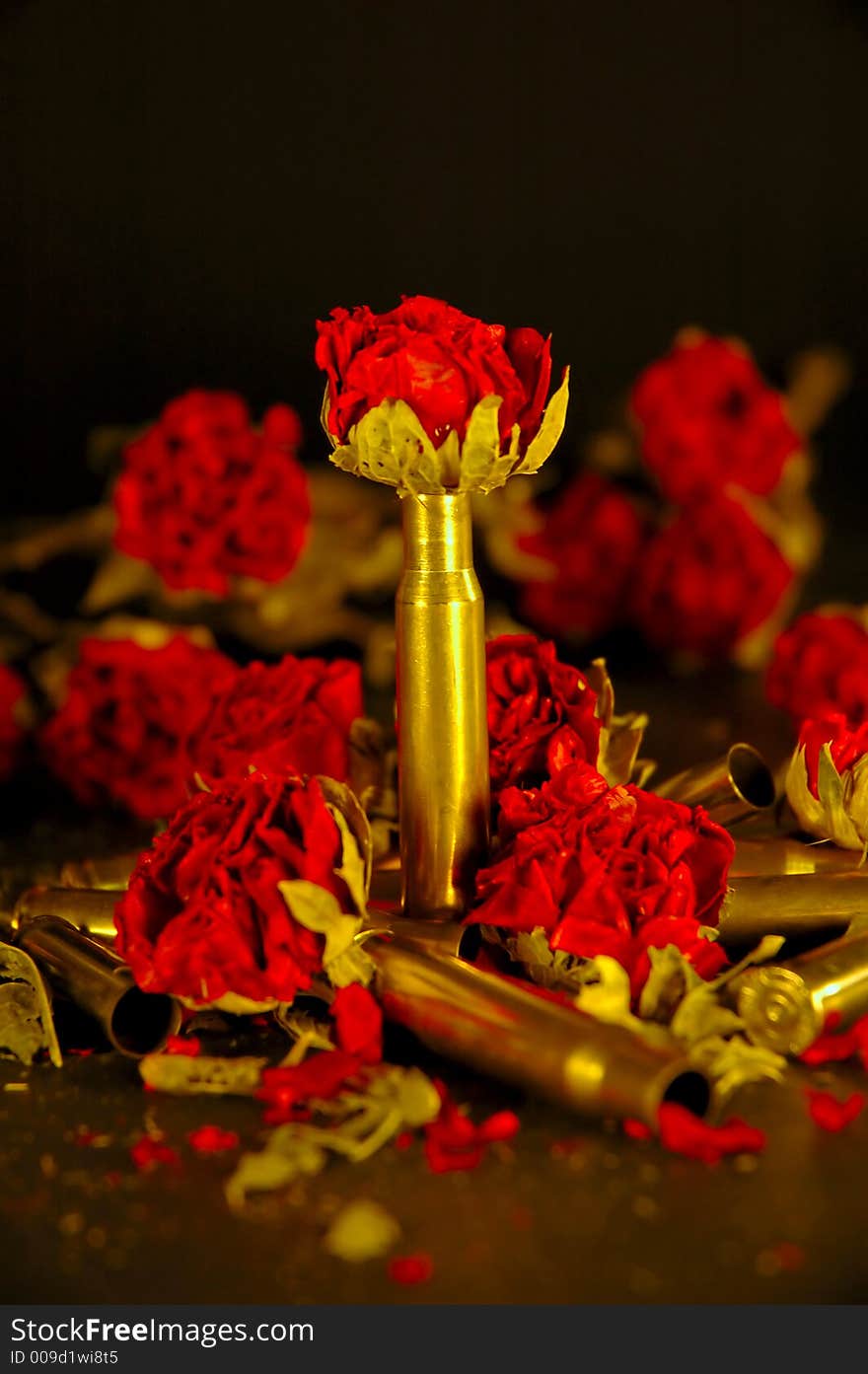 Rose With Bullet Casing