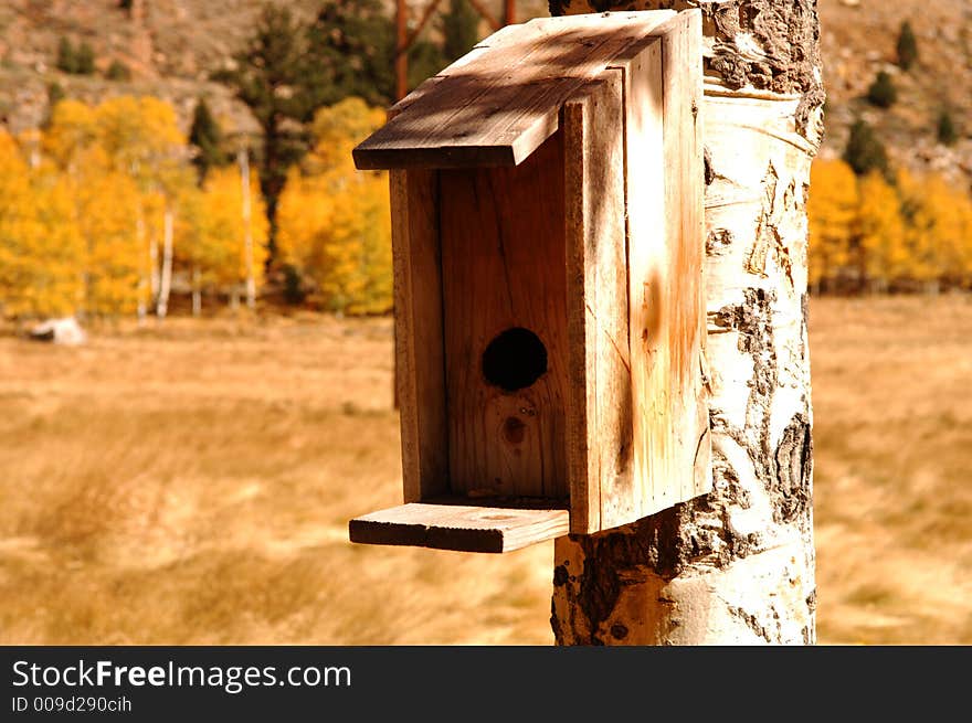 Birdhouse