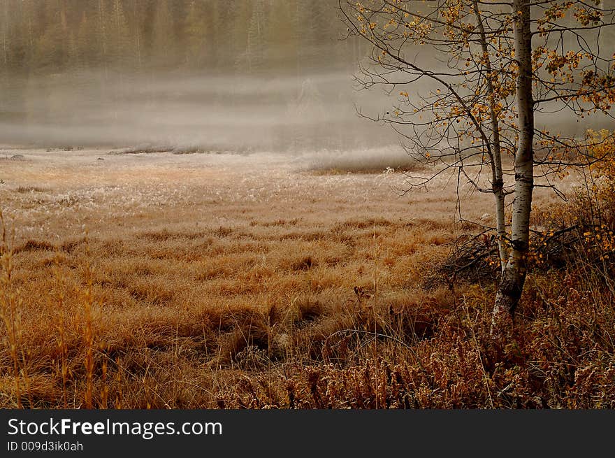 Morning Fog In Yosemite Valley. Morning Fog In Yosemite Valley