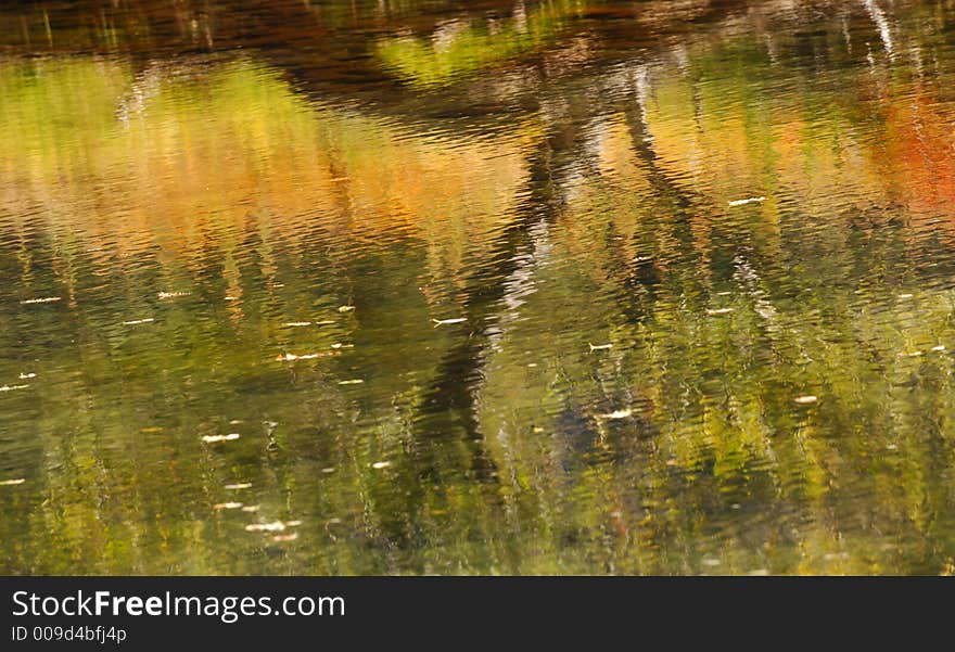 Reflections Of Leaves On the merced River. Reflections Of Leaves On the merced River