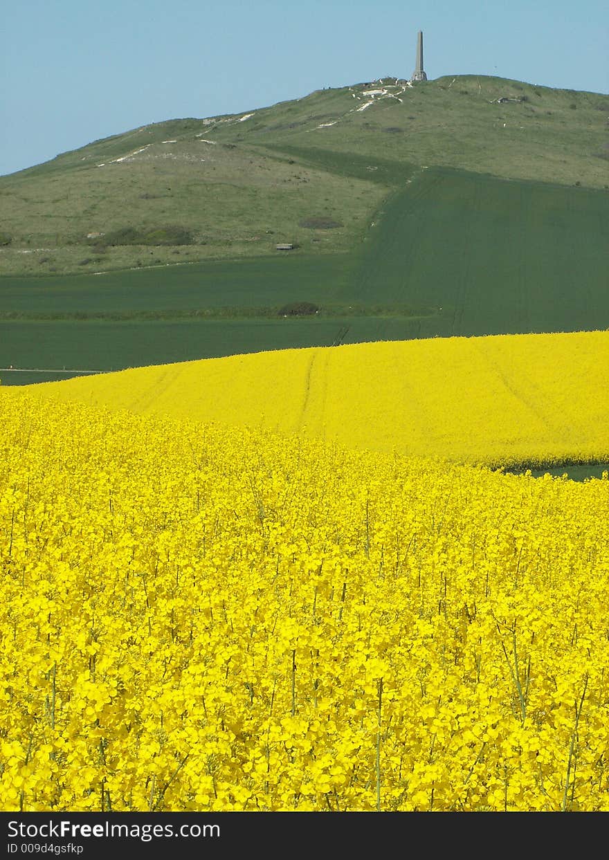 Cap blanc nez, in pas-de-calais, france