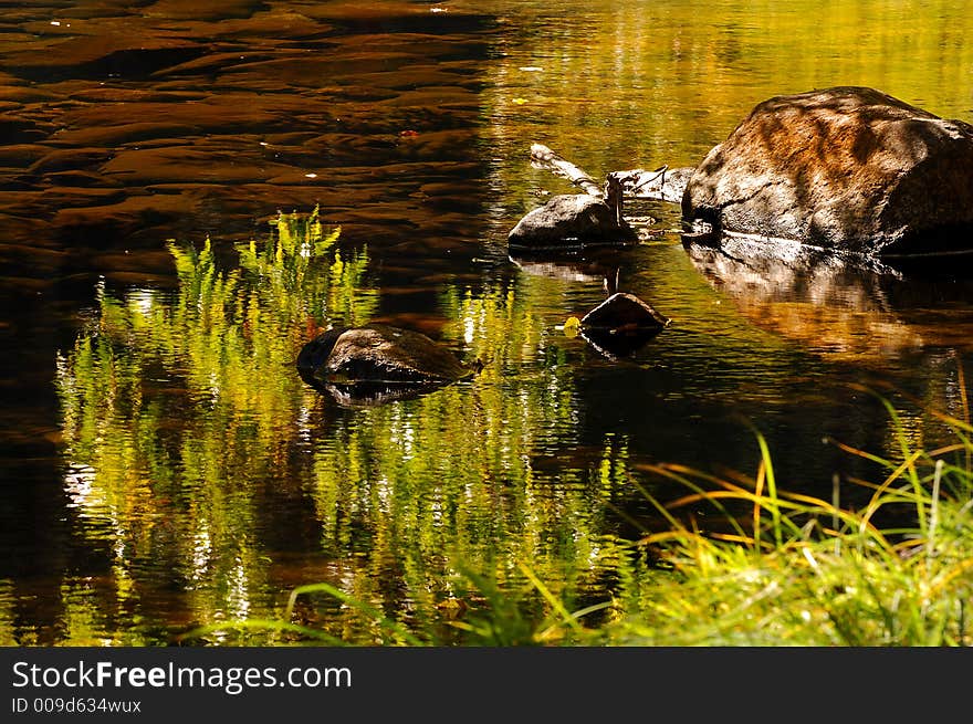 Reflections of grass in Merced River. Reflections of grass in Merced River