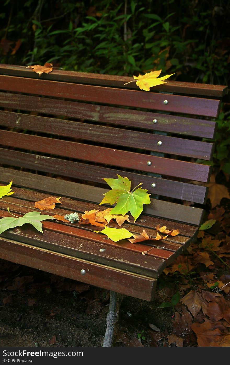 Detail of fall Leafs on a brown wooden bench. Detail of fall Leafs on a brown wooden bench.