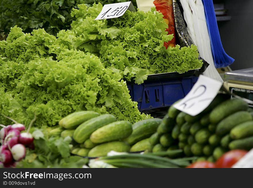 Greenery And Cucumbers