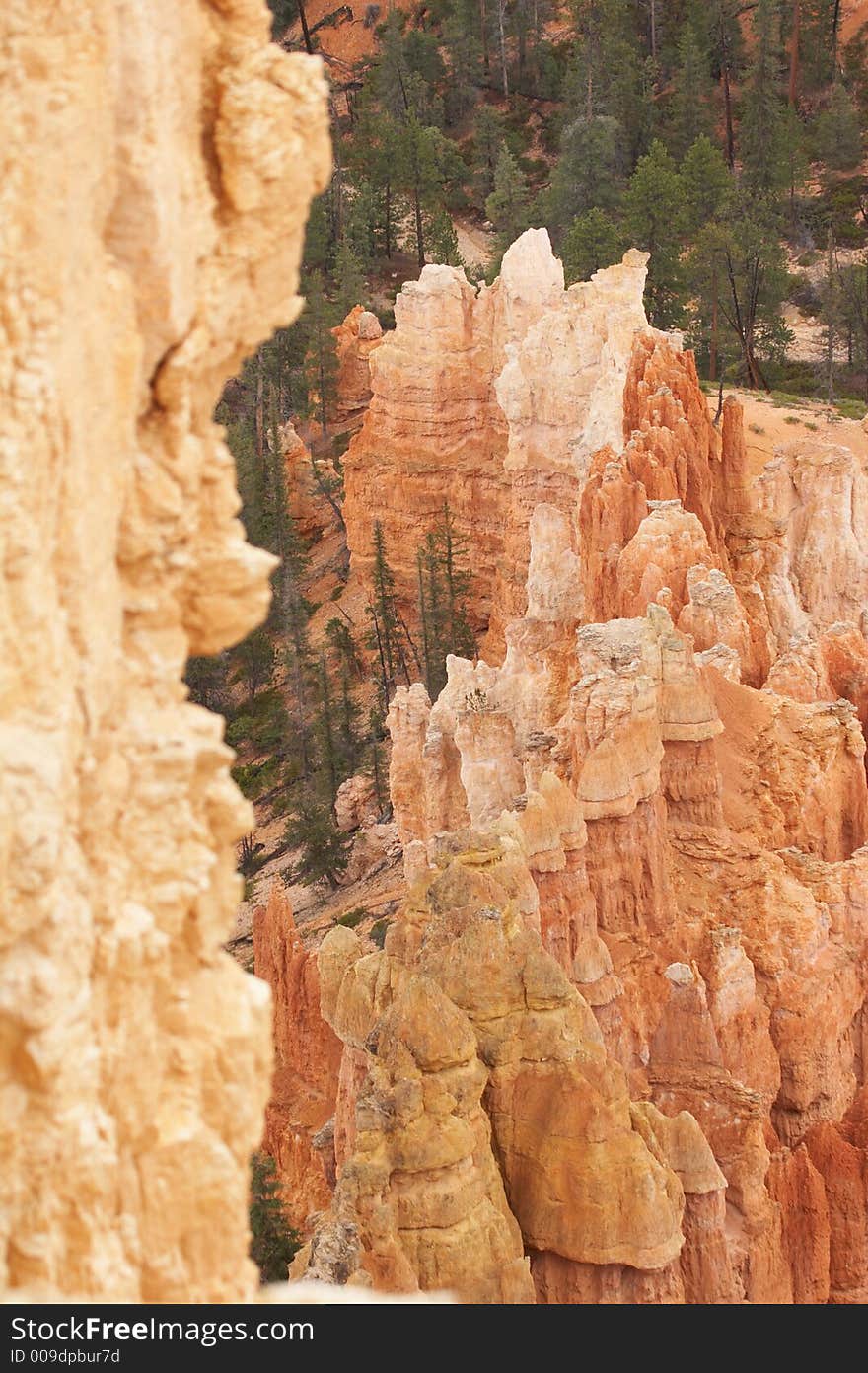 Amphitheater - Bryce Canyon