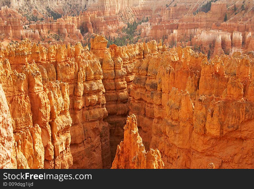 Amphitheater - Bryce Canyon