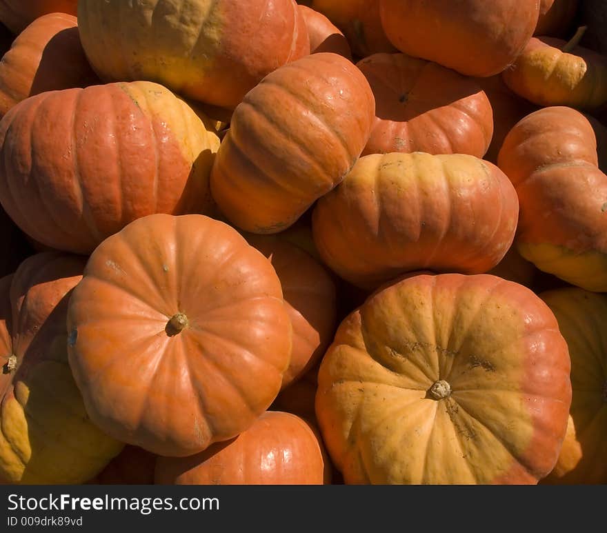 Pumpkin close up