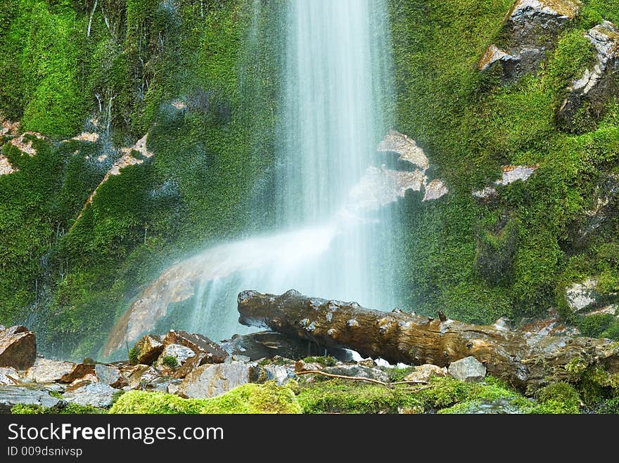 Location:Kazakhstan, TyanShan mountains, Gorelnik gorge. Location:Kazakhstan, TyanShan mountains, Gorelnik gorge