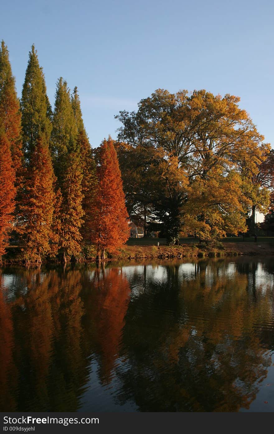 Picture of fall colors reflecting on pond. Picture of fall colors reflecting on pond