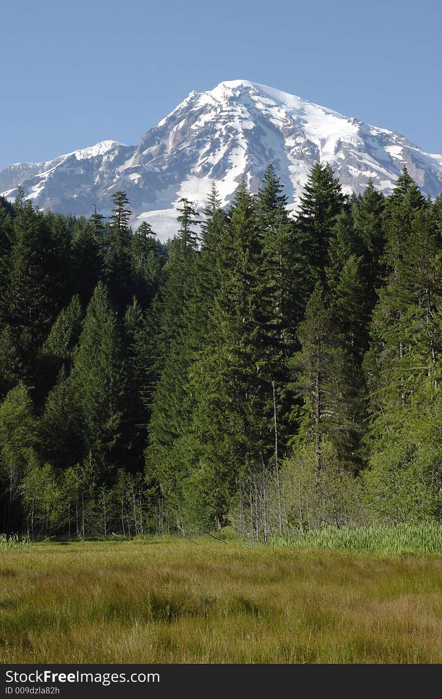 Longmire Meadow