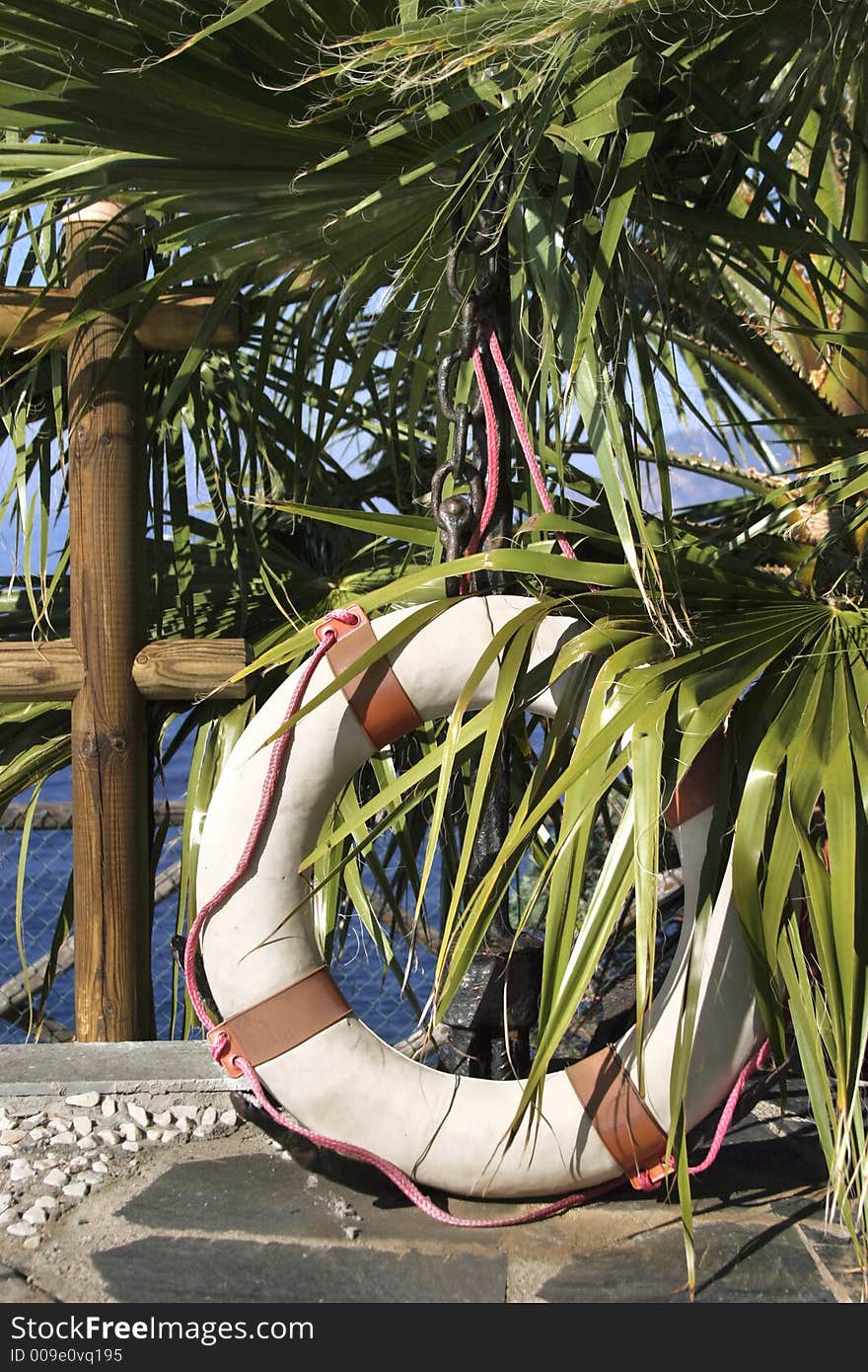 Life preserver and palm tree