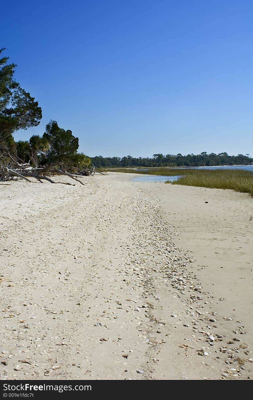 Beach on Shired Island, Dixie County, Florida. Beach on Shired Island, Dixie County, Florida.