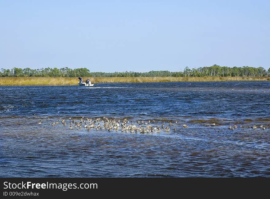 Sandpipers and Fishermen