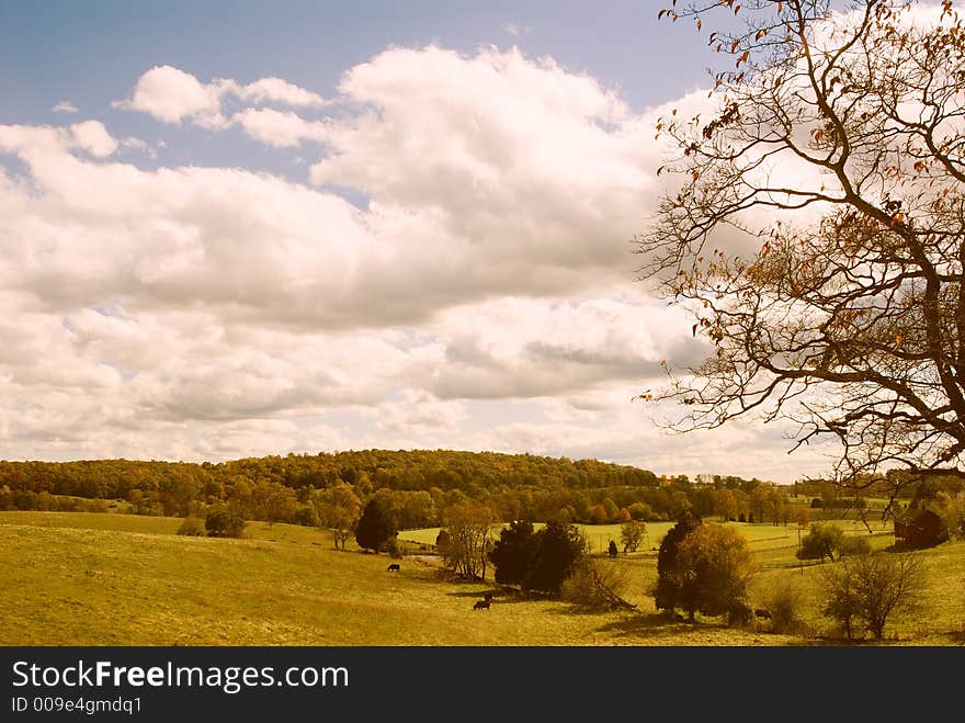 Pasture photographed in rural northern Virginia. Pasture photographed in rural northern Virginia