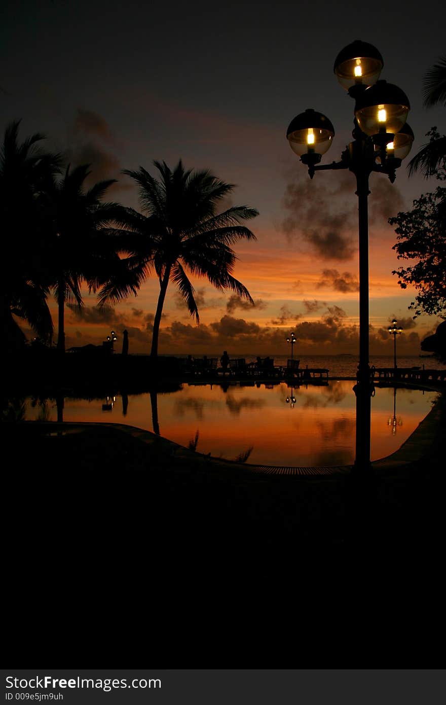 Coconut trees in the pool (sunset)