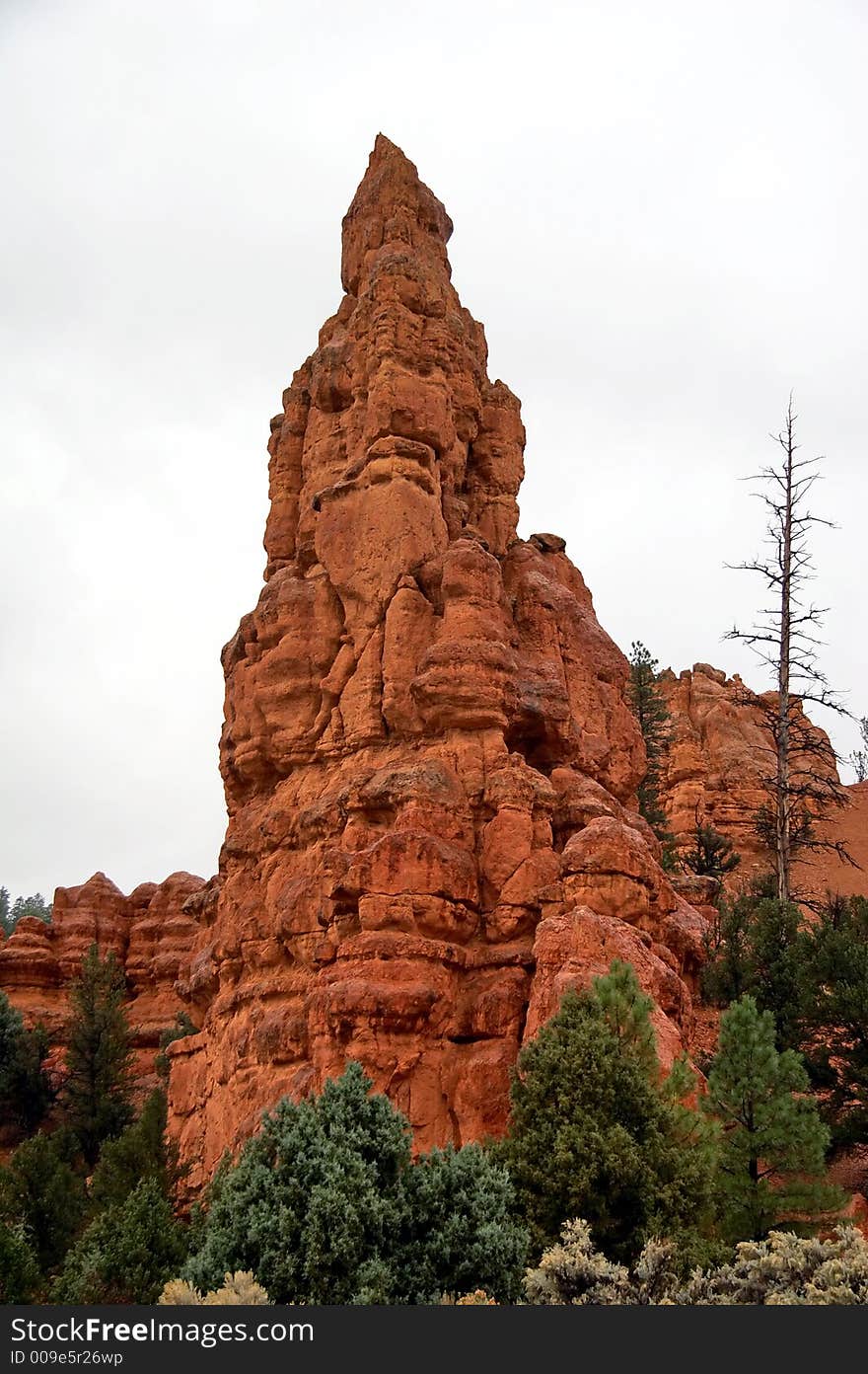 Amphitheater - Bryce Canyon