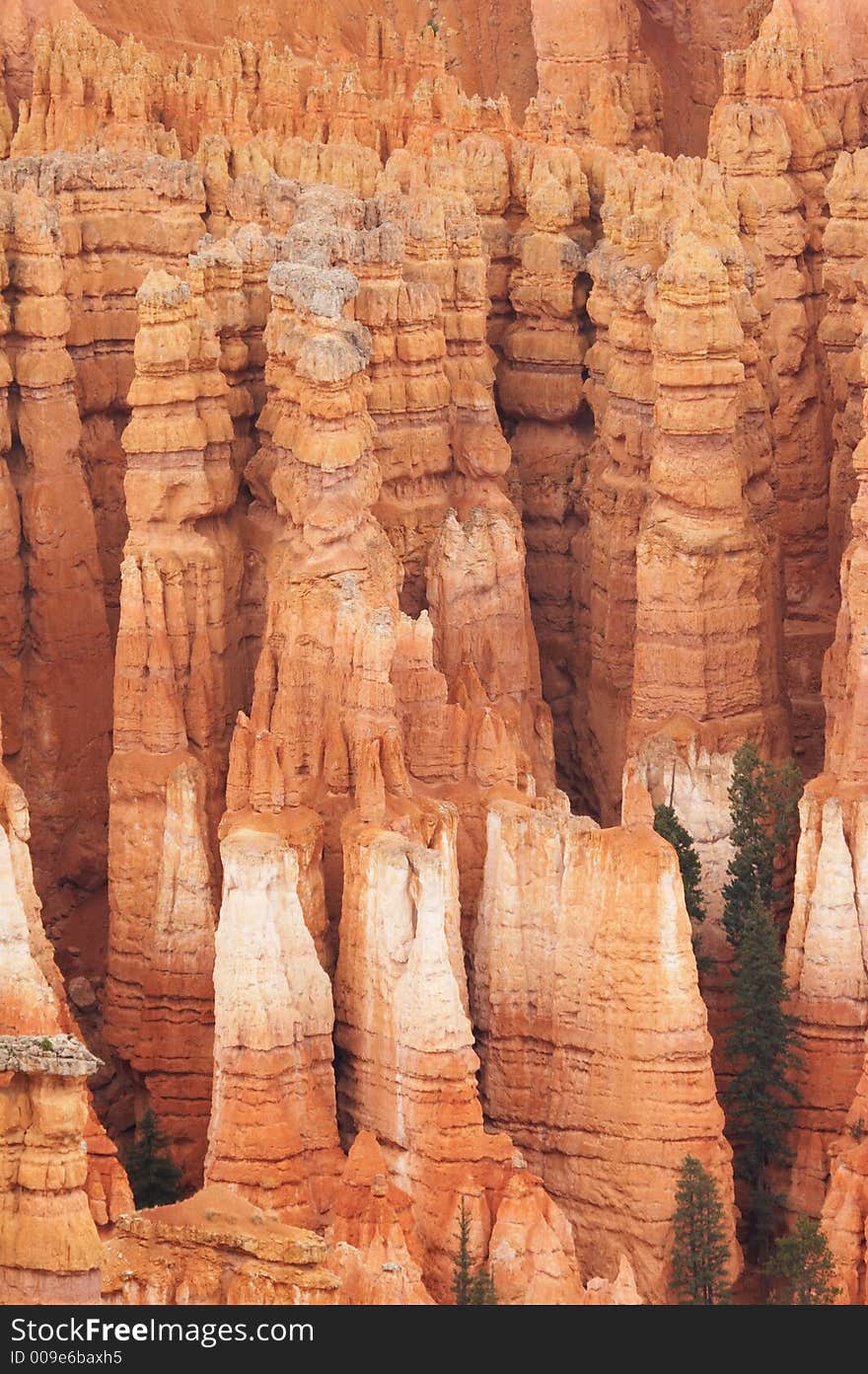 Hoodoos - Bryce Canyon