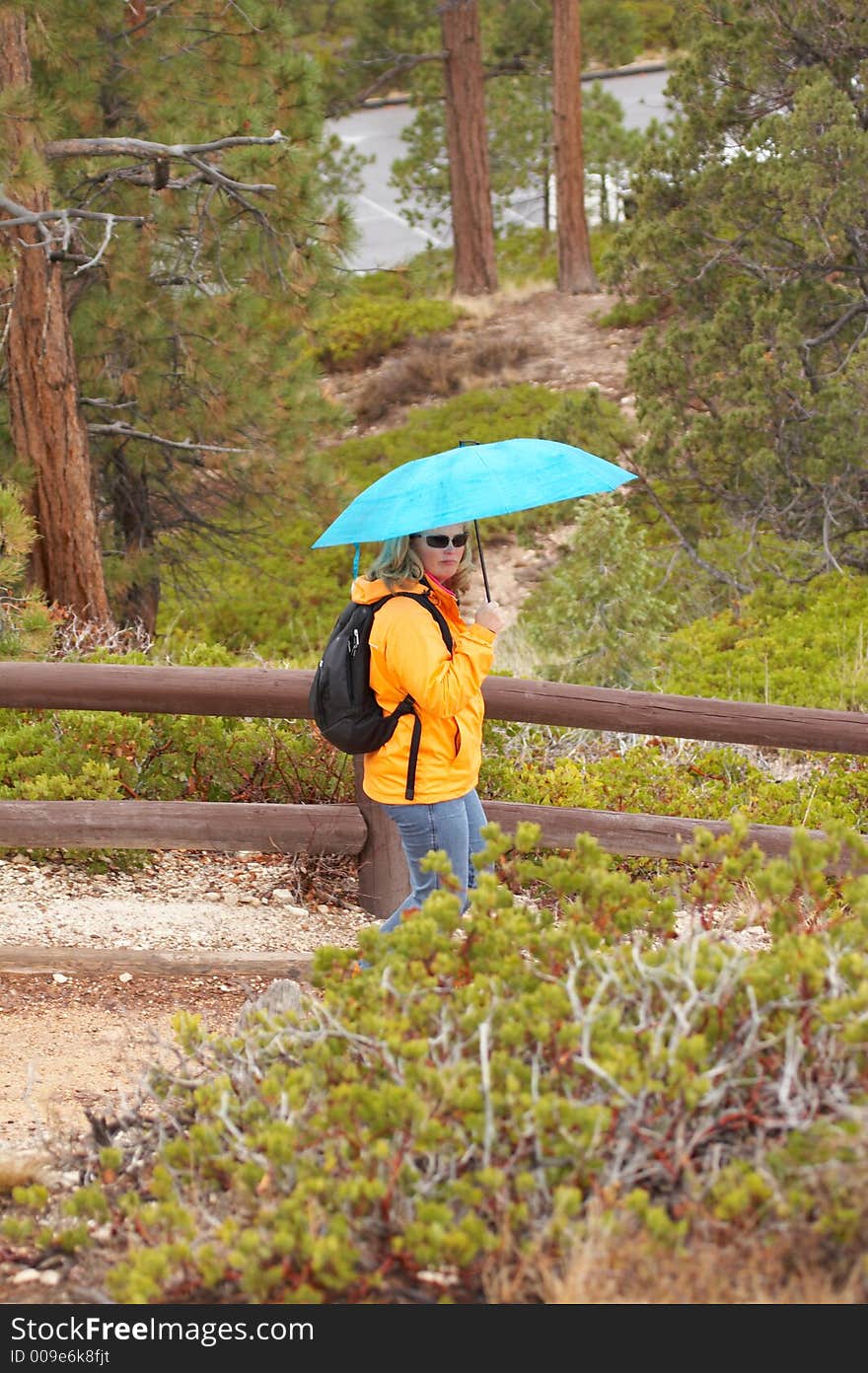 Women with Umbrella