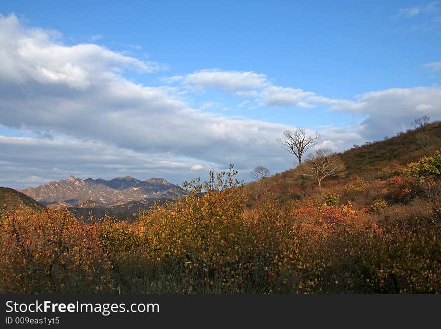 Autumn landscape