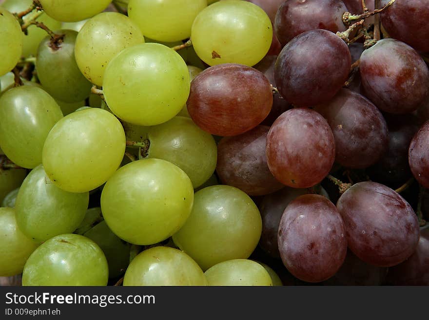 Red and white grapes in the autumn season