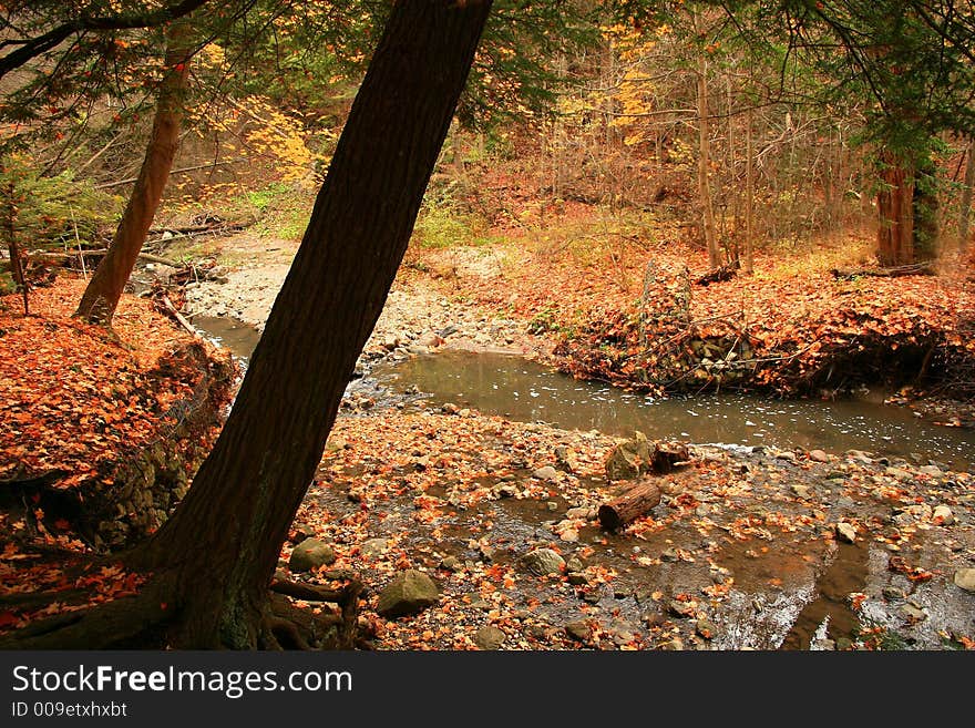 A small river winds its way past blazing Autumn colors in Edward s Gardens, Toronto.