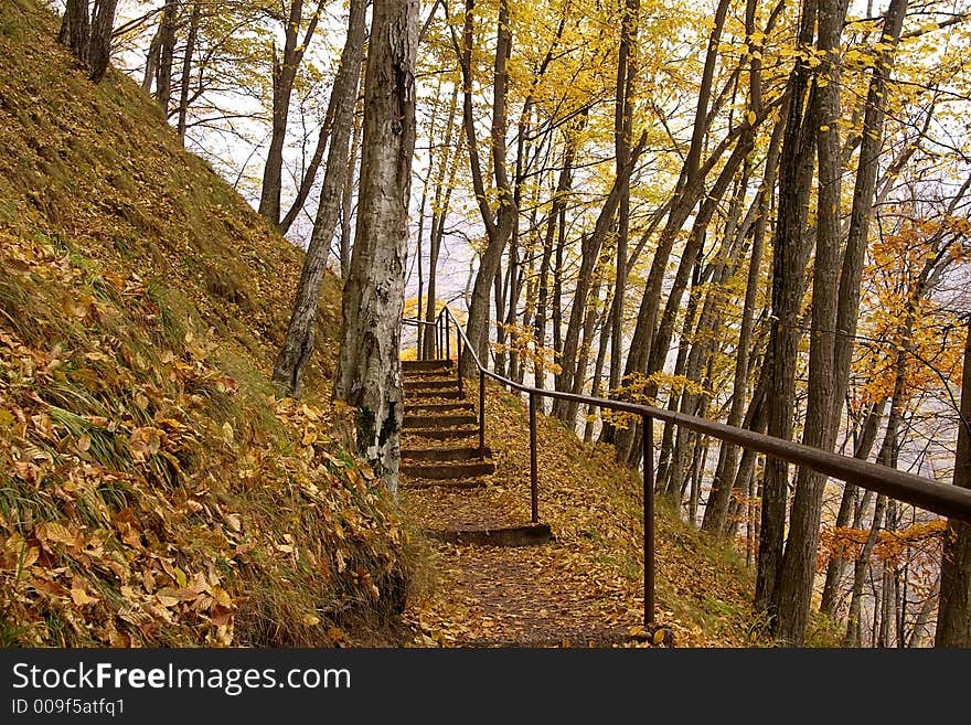 Single path with stairs in the forest in autumn season. Single path with stairs in the forest in autumn season